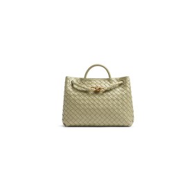 Bottega Veneta Medium Andiamo