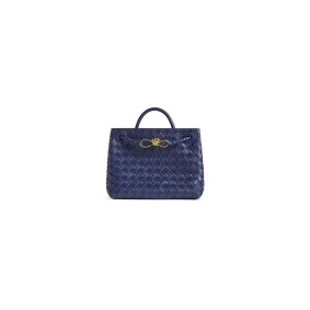 Bottega Veneta Small Andiamo