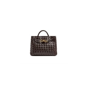 Bottega Veneta Small Andiamo