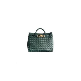 Bottega Veneta Small Andiamo