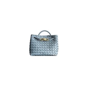 Bottega Veneta Small Andiamo