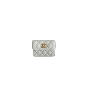 Chanel Clutch With Chain(High-End Grade)