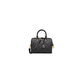 Dior Groove 25 Bag(High-End Grade)