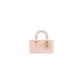 Dior Lady D-Joy Micro Bag(High-End Grade)