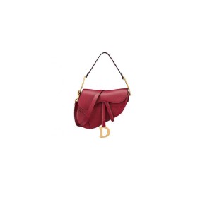 Dior Saddle Bag With Strap