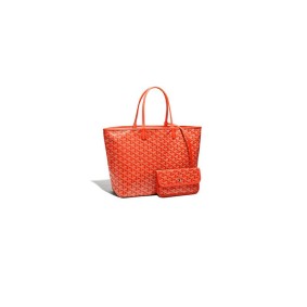 Goyard Saint Louis Pm Bag