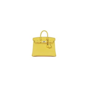 Hermes Birkin Bag 25