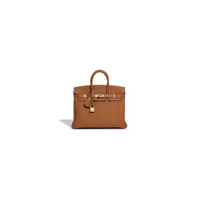 Hermes Birkin Bag 25 Hermes Birkin Bag 25