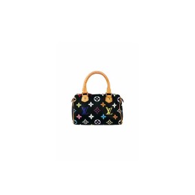 Louis Vuitton Multicolor Nano Speedy Bag Louis Vuitton Multicolor Nano Speedy Bag