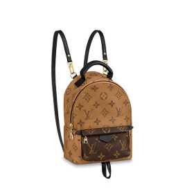 Louis Vuitton Palm Springs Mini Backpack