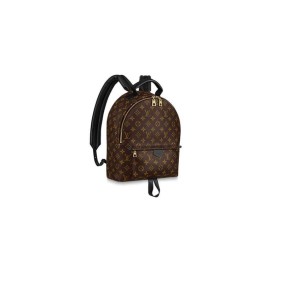 Louis Vuitton Palm Springs Mm(High-End Grade)