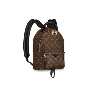 Louis Vuitton Palm Springs Pm