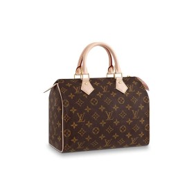 Louis Vuitton Speedy 25