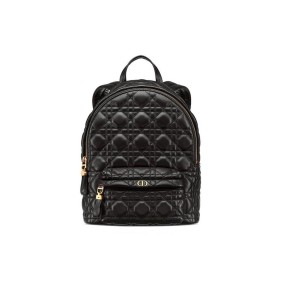 Small Dior Backpack