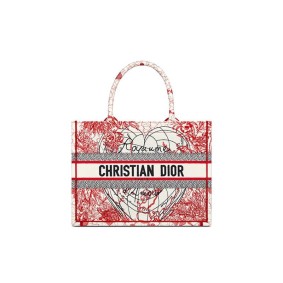 Small Dior Book Tote