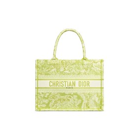 Small Dior Book Tote
