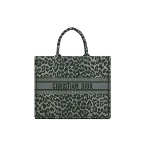 Small Dior Book Tote