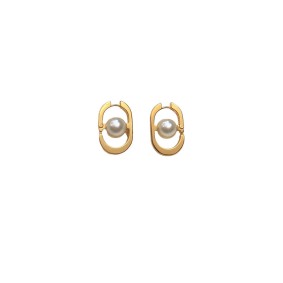 Dior Pearl Earrings Shop