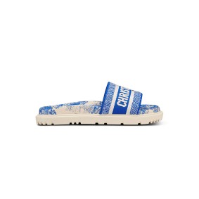 Dior Dway Slide