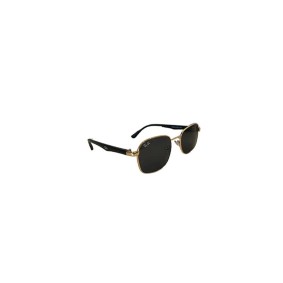 Ray-Ban Sunglasses
