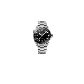 Omega Planet Ocean 6000M Wrist Watches