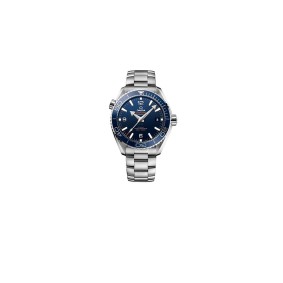 Omega Planet Ocean 6000M Wrist Watches