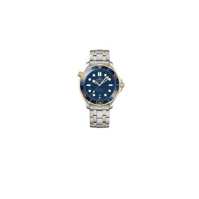 Omega Seamaster Diver 300M Wrist Watches