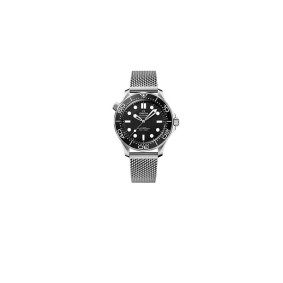 Omega Seamaster Diver 300M Wrist Watches