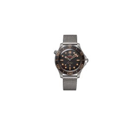 Omega Seamaster Diver 300M Wrist Watches